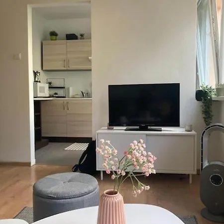 Apartment Chutny Apartmanik Blizko Centra