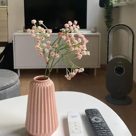Chutny Apartmanik Blizko Centra