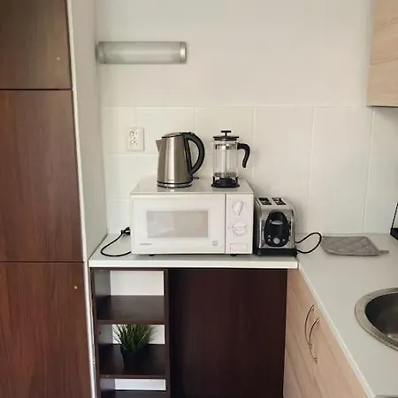 Apartment Chutny Apartmanik Blizko Centra