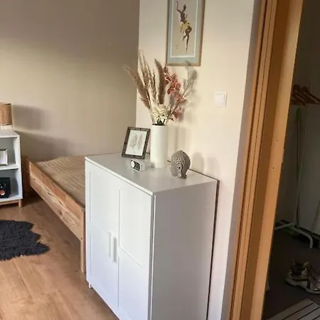 Chutny Apartmanik Blizko Centra Martin